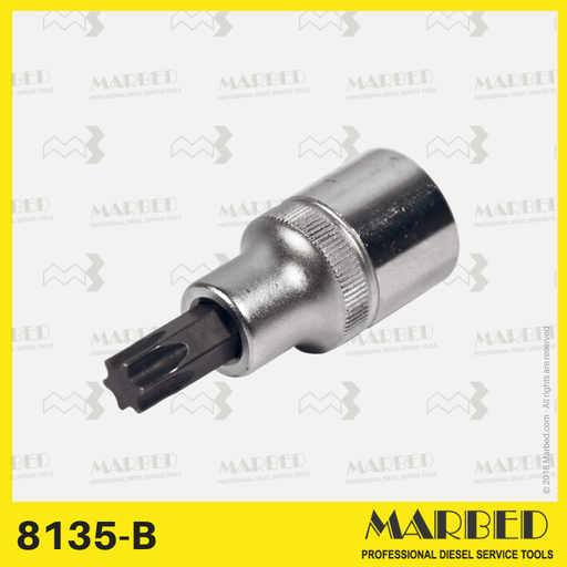 [8135-B] Bussola 1/2 per Torx 50