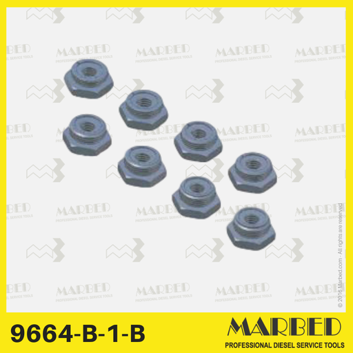 [1-B] Set of 8 fixed size plugs (A-H) for pressure testing on DPS pumps.
Similar to CAV / Lucas / Delphi 7244-435.